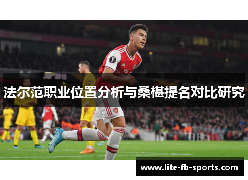 法尔范职业位置分析与桑椹提名对比研究