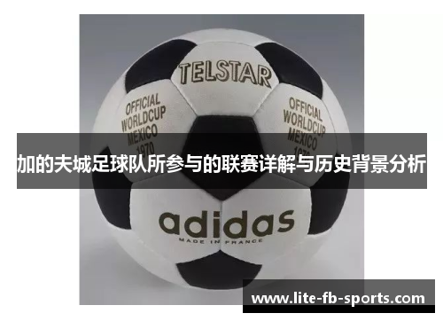 加的夫城足球队所参与的联赛详解与历史背景分析
