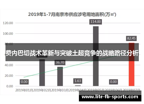 费内巴切战术革新与突破土超竞争的战略路径分析