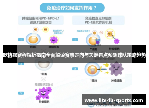 欧协联赛程解析指南全面解读赛事走向与关键看点预测球队策略趋势