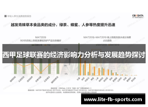 西甲足球联赛的经济影响力分析与发展趋势探讨