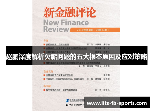 赵鹏深度解析欠薪问题的五大根本原因及应对策略