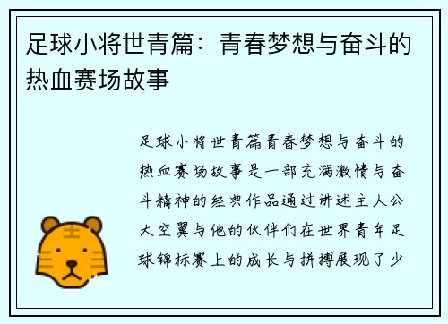 足球小将世青篇：青春梦想与奋斗的热血赛场故事
